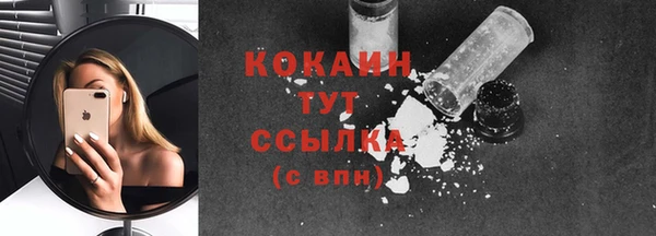 индика Киренск