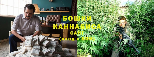 индика Киренск