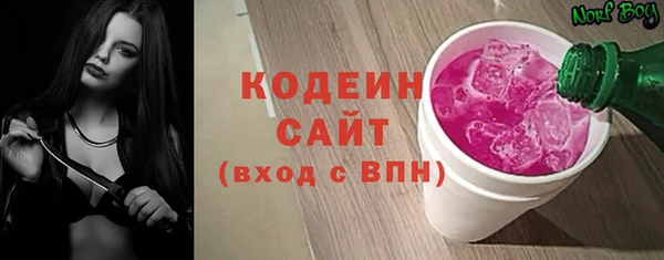 индика Киренск