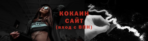 индика Киренск