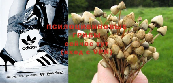 прущая мука Кинешма