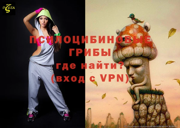 индика Киренск