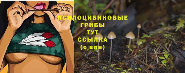 прущая мука Кинешма